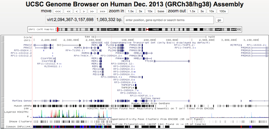 Multi-Region haplotype view