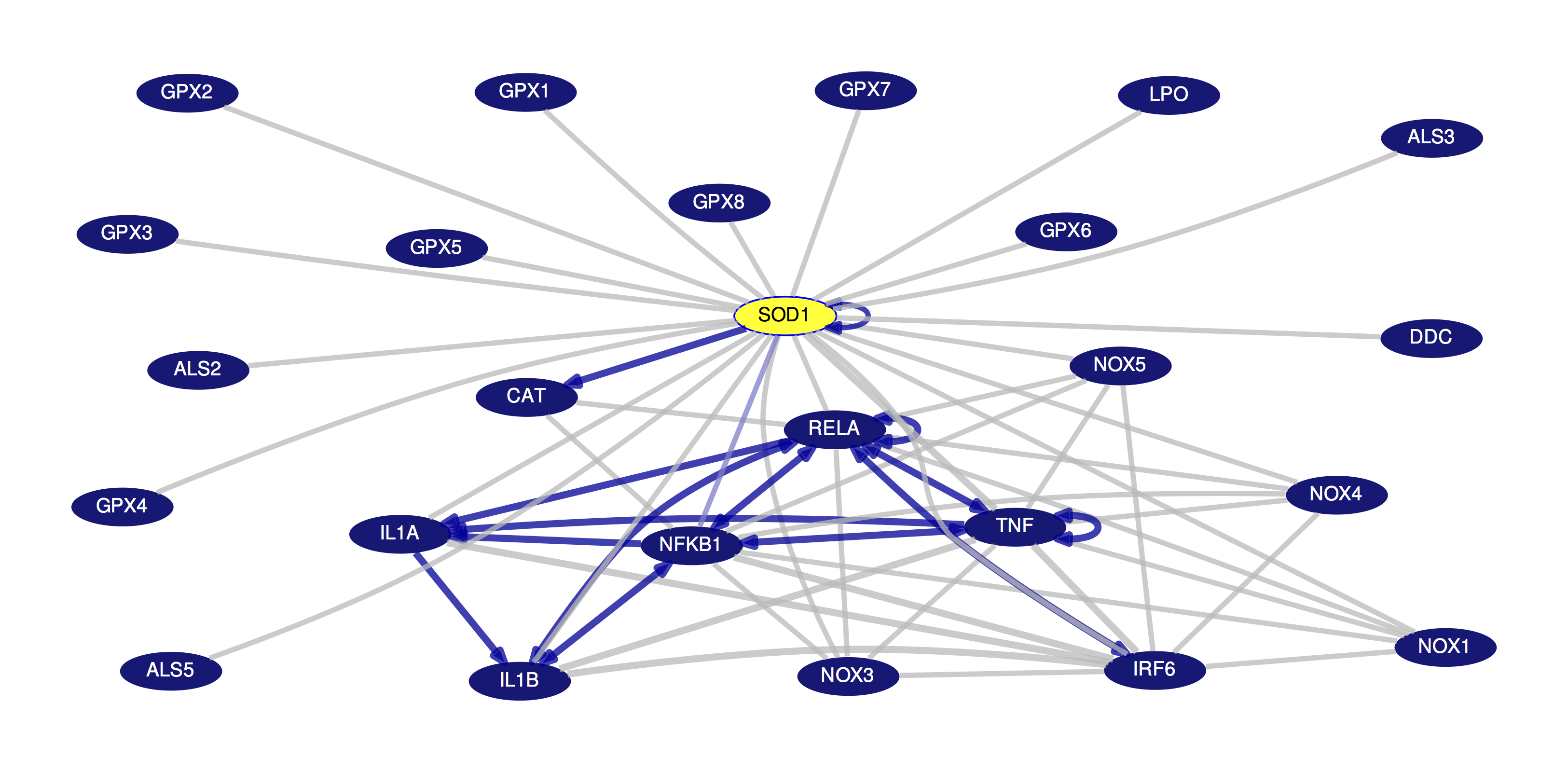 Gene Interaction Graph