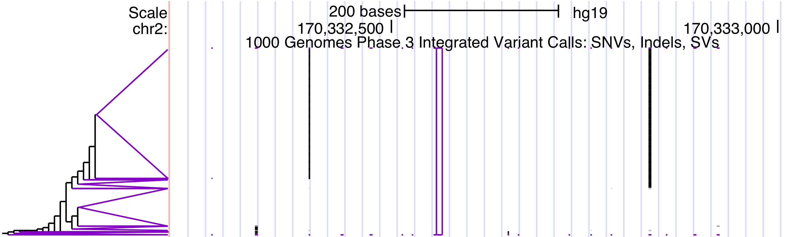 VCF tree diagram